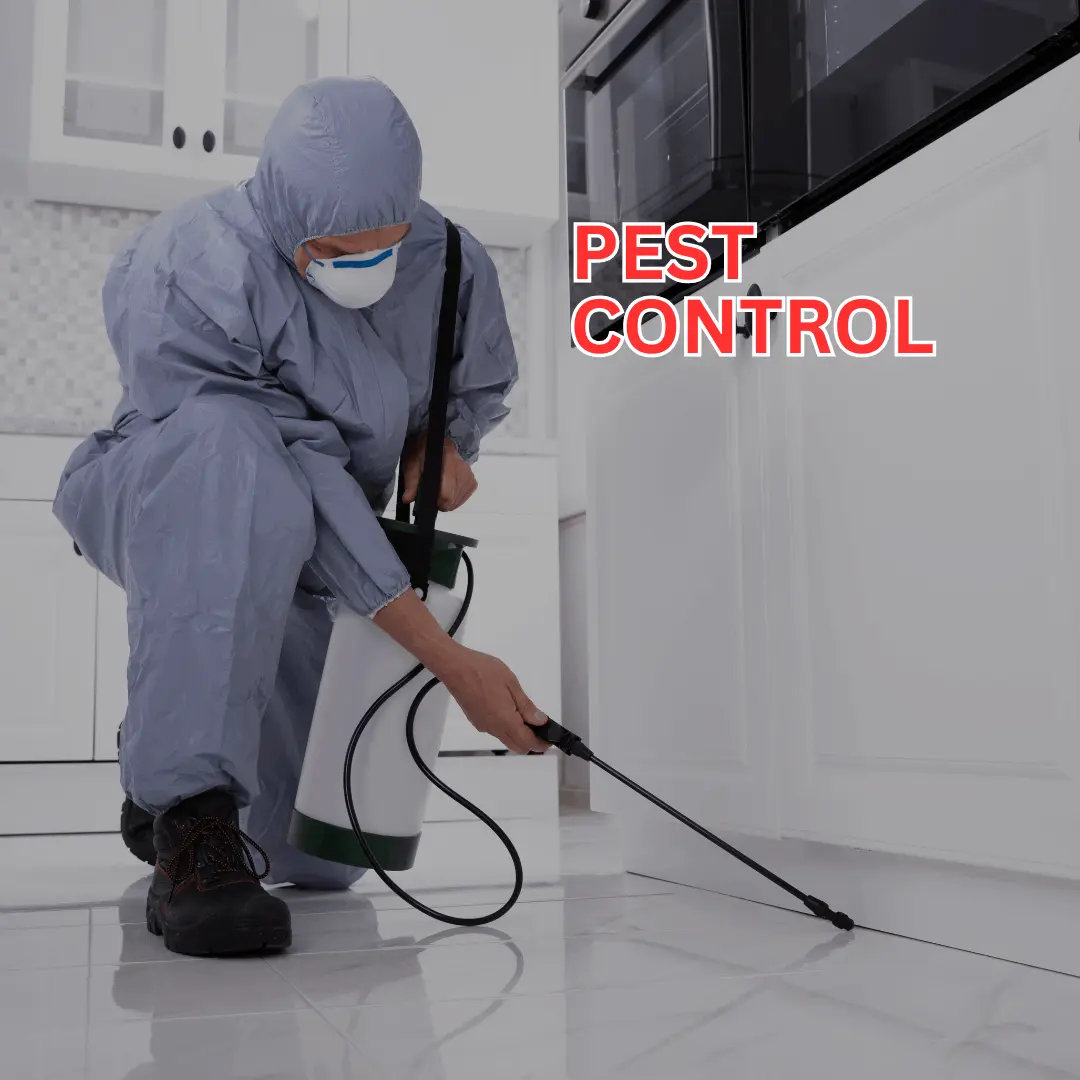 Orkin Pest Control